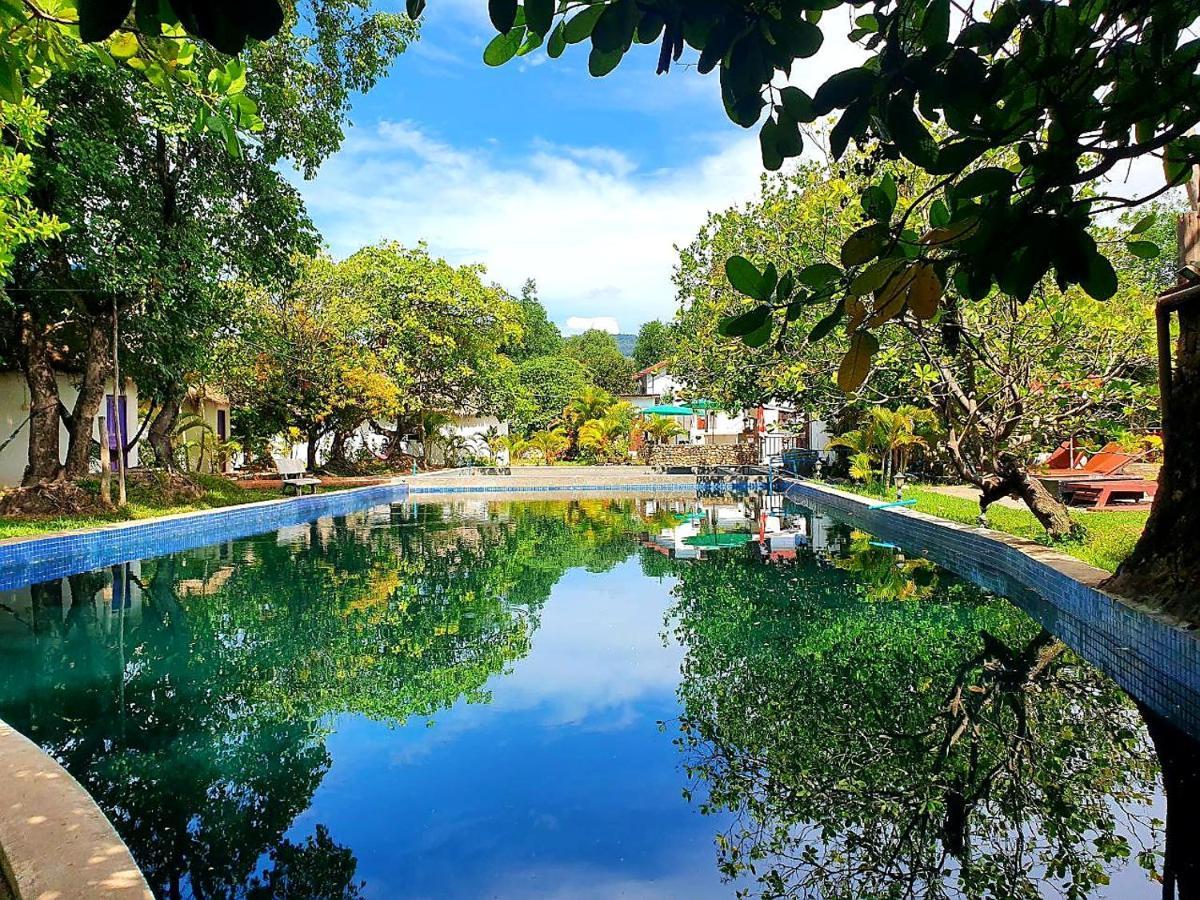 Bohemiaz And Kampot
